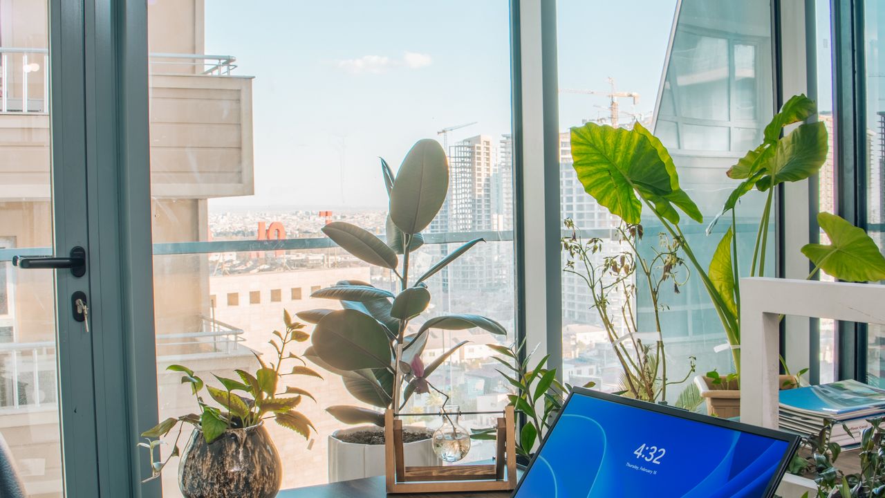 Laptop auf einem hellen Schreibtisch mit Pflanzen
