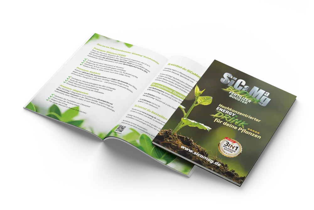 SiCaMag, Website